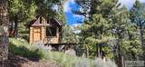 14 Elk Summit Way - Photo 9