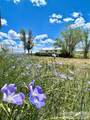 2628 Highway 93 - Photo 22