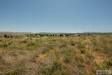 12000 Sunrise Circle - Photo 49