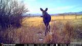 TBD S Bates Road - Photo 24