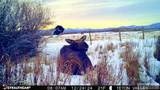 TBD S Bates Road - Photo 26