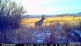 TBD S Bates Road - Photo 27