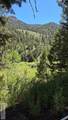 2209 Panther Creek Road - Photo 28