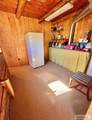 12 Ethels Way - Photo 13