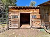 12 Ethels Way - Photo 44