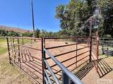 12 Ethels Way - Photo 46