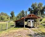 12 Ethels Way - Photo 53