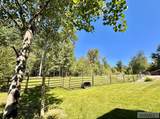 12 Ethels Way - Photo 58