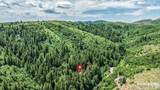 8832 Whispering Pines Road - Photo 4