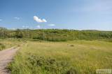 TBD Henry Creek Road - Photo 40
