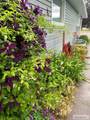 906 Main Street - Photo 10