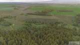 TBD Long Hollow Road - Photo 23