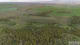 TBD Long Hollow Road - Photo 25