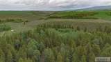 TBD Long Hollow Road - Photo 32