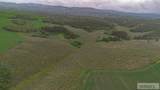 TBD Long Hollow Road - Photo 4