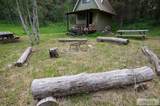 TBD Long Hollow Road - Photo 43