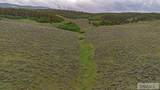 TBD Long Hollow Road - Photo 7
