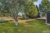 872 Dalmation Drive - Photo 38