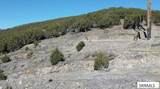 30236 US Hwy 91 - Photo 12