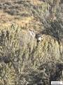 30236 US Hwy 91 - Photo 20