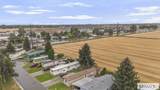 1807 Pinewood Drive - Photo 53