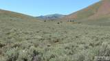 1981 Blizzard Mountain Road - Photo 34