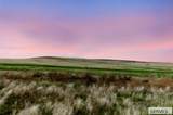 TBD Lemhi Road - Photo 3