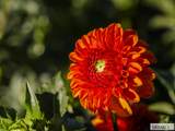 365 150 W - Photo 11