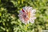 365 150 W - Photo 131