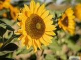365 150 W - Photo 138