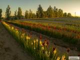 365 150 W - Photo 21
