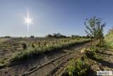 365 150 W - Photo 25