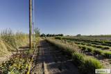 365 150 W - Photo 26