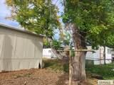 373 Contor Avenue - Photo 5