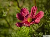 365 150 W - Photo 137
