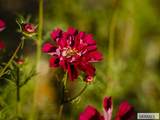 365 150 W - Photo 140