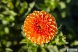 365 150 W - Photo 143