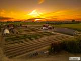 365 150 W - Photo 145