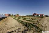365 150 W - Photo 48