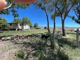 1096 Upper Hotsprings Road - Photo 10