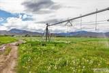 24950 Hwy 93 - Photo 17
