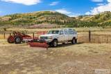 6013 Nounan Road - Photo 41