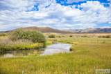 6013 Nounan Road - Photo 42