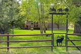 6013 Nounan Road - Photo 44