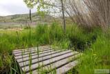6013 Nounan Road - Photo 8