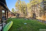 3770 Arctic Fox Drive - Photo 12
