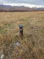 1119 Hwy 28 - Photo 93