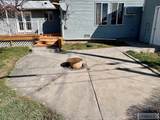 2334 1st Street - Photo 45