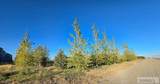 5566 49th N - Photo 74