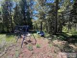 1831 Donna Drive - Photo 38